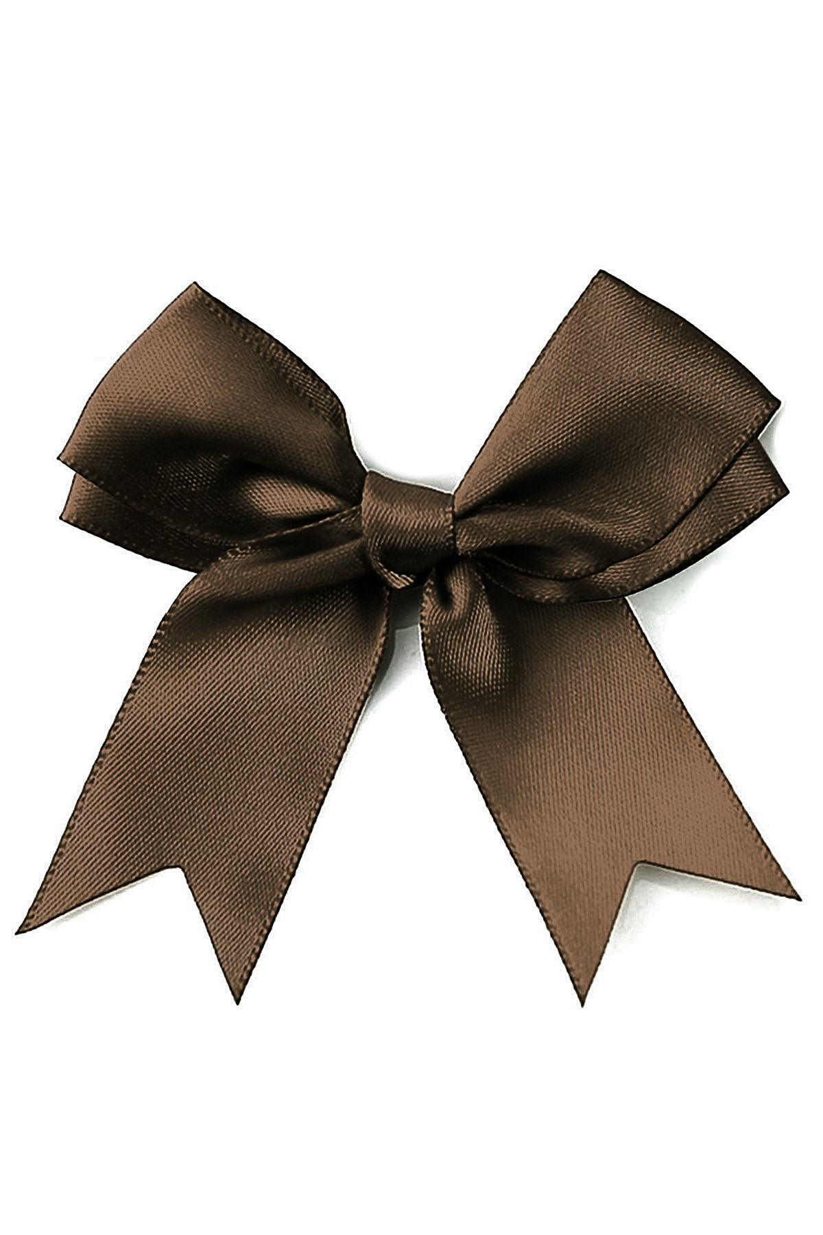 10 Adet Kahverengi Saten Fiyonk Süsleme Kurdele Seti