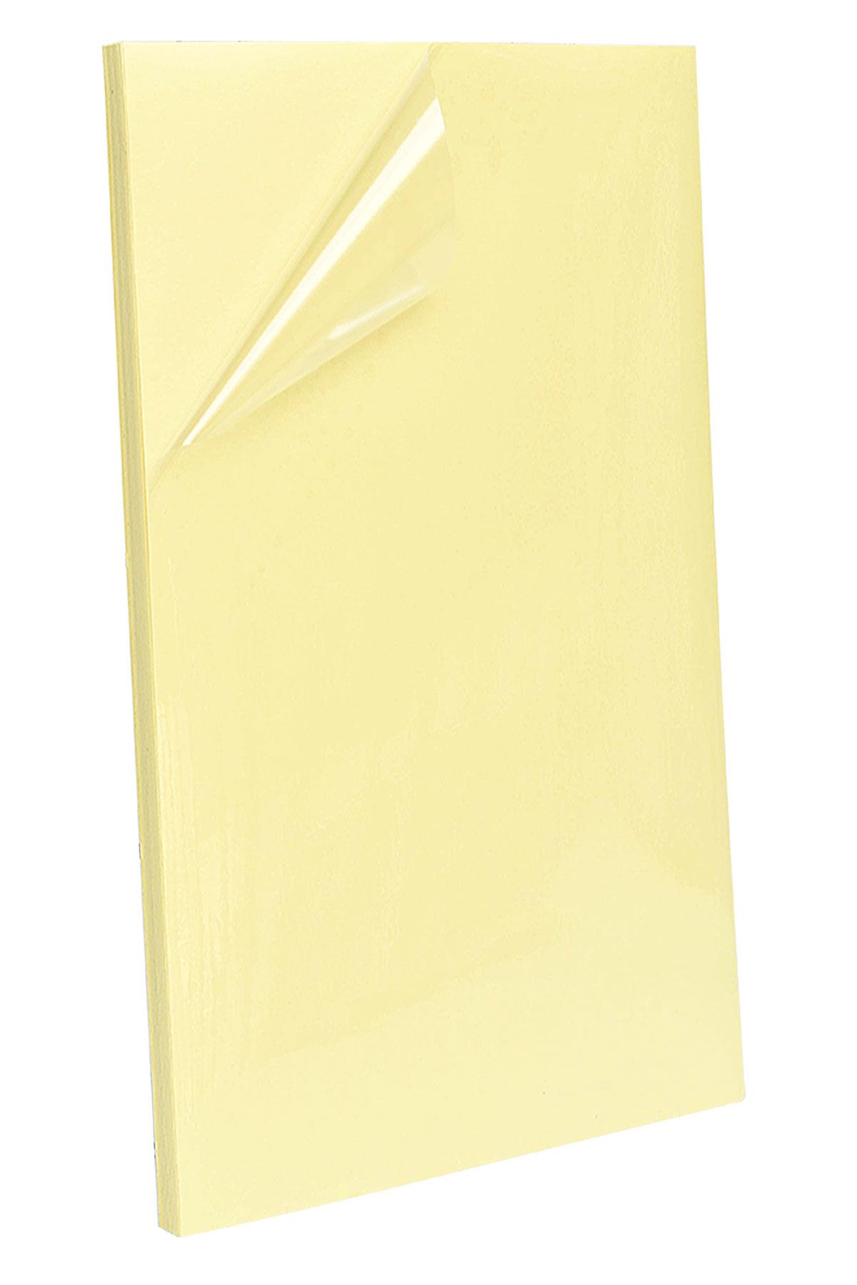 10 Adet Büyük Plaka 23x50 cm Çift Taraflı Yapışkanlı Bant