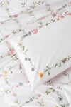 Cotton Box Modeline Ranforce Tek Kişilik Nevresim Takımı Trellis Pembe