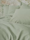 Cotton Box Plain Adaçayı Tek Kişilik Ranforce Nevresim Takımı