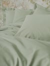 Cotton Box Plain Çift Kişilik Nevresim Takımı Adaçayı