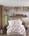 Hobby Kingsize Poplin Nevresim Trella Gülkurusu