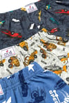 Öts Erkek Çocuk Boxer 3'lü Baskılı (%100 Pamuk)