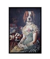 Cavalier King Charles Spaniel Çerçeveli PosterPosterlerTablolife.com