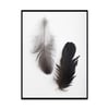 Feather Yağlı Boya Dokulu TabloYağlı Boya Dokulu Soyut TablolarTablolife