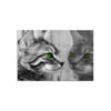Green Eyed Cat - Büyük Boy Kanvas TabloBüyük Boy Kanvas TablolarTablolife.com