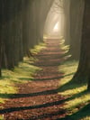 Güneşe Giden Yol  Kanvas TabloKanvas TablolarTablolife