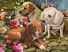 Puppies Yağlı Boya Dokulu TabloYağlı Boya Dokulu Hayvan TablolarıTablolife.com