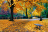 Sonbaharda Park - Kanvas Tablo