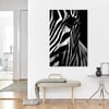 Zebra Serisi 3 - Büyük Boy Kanvas TabloBüyük Boy Kanvas TablolarTablolife.com