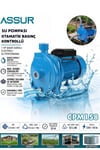 CPM158  29m Basınç Yüksekliği 1 Hp Bakır Sargı Elektrikli Santrifüj Pompa Su Motoru
