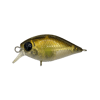 Bite