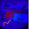 EZ Eggz