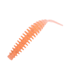 Leech