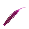 Leech