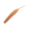 Leech