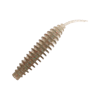 Leech