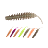 Leech