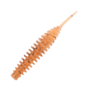 Leech
