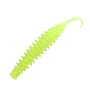 Leech