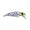 Micro Dart