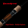 Tenryu Rayz
