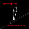 Tenryu Rayz
