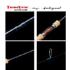 Tenryu Rayz İntegral