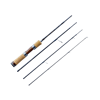 Tenryu Rayz Integral