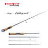 Tenryu Rayz İntegral