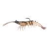 Z-Man Prawn Starz