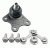  Rotil Sag Polov 01-