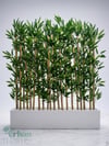 Seperatör Bambu Modelleri | MDF Saksılı Yapay BambuBambu Seperatör (100 cm Beyaz Mdf Saksıda)