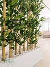 Seperatör Bambu Modelleri | MDF Saksılı Yapay BambuBambu Seperatör (120 cm Beyaz Mdf Saksıda)