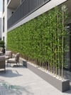 Seperatör Bambu Modelleri | MDF Saksılı Yapay BambuBambu Seperatör (120 cm Siyah Mdf Saksıda)