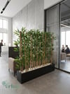 Seperatör Bambu Modelleri | MDF Saksılı Yapay BambuBambu Seperatör (50 cm Siyah Mdf Saksıda)
