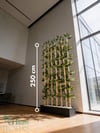 Seperatör Bambu Modelleri | MDF Saksılı Yapay BambuBambu Seperatör (70 cm Siyah Mdf Saksıda)