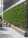 Seperatör Bambu Modelleri | MDF Saksılı Yapay BambuBambu Seperatör (70 cm Siyah Mdf Saksıda)