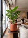 Plastik Saksı 33x28 cm 7 Litre | 4 Renk Dekoratif SaksıPlastik Saksı 33x28 cm ERS01