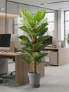 Yapay Difenbahya 90 cm | Metal ve Plastik Saksılı Tropikal Yapay BitkiYapay Difenbahya 90 cm 