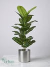 Yapay Difenbahya 90 cm | Metal ve Plastik Saksılı Tropikal Yapay BitkiYapay Difenbahya 90 cm 