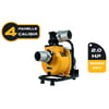 2HP / 1500Watt / 110 Volt DC Solar Yüzey Pompası