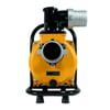 2HP / 1500Watt / 110 Volt DC Solar Yüzey Pompası