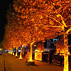 30Watt Fonksiyonel Solar Çim / Bahçe Aydınlatma Armatürü (Amber Işık)