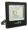 FL-301 30 Watt Slim LED Projektör