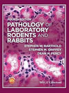 Pathology of Laboratory Rodents and Rabbits
