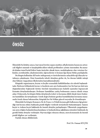 Pratik Koyun ve Keçi Beslenme - Beslenme Hastalıkları