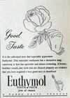 EUTHYMOL KEKİK ÖZLÜ DİŞ MACUNU 75ML