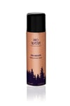 PINO SILVESTRE ERKEK DEODORANT OUD ABSOLUTE 300ML