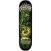 CREATURE 8.375 BAEKKEL GY DECK PROFESYONEL KAYKAY TAHTASI 